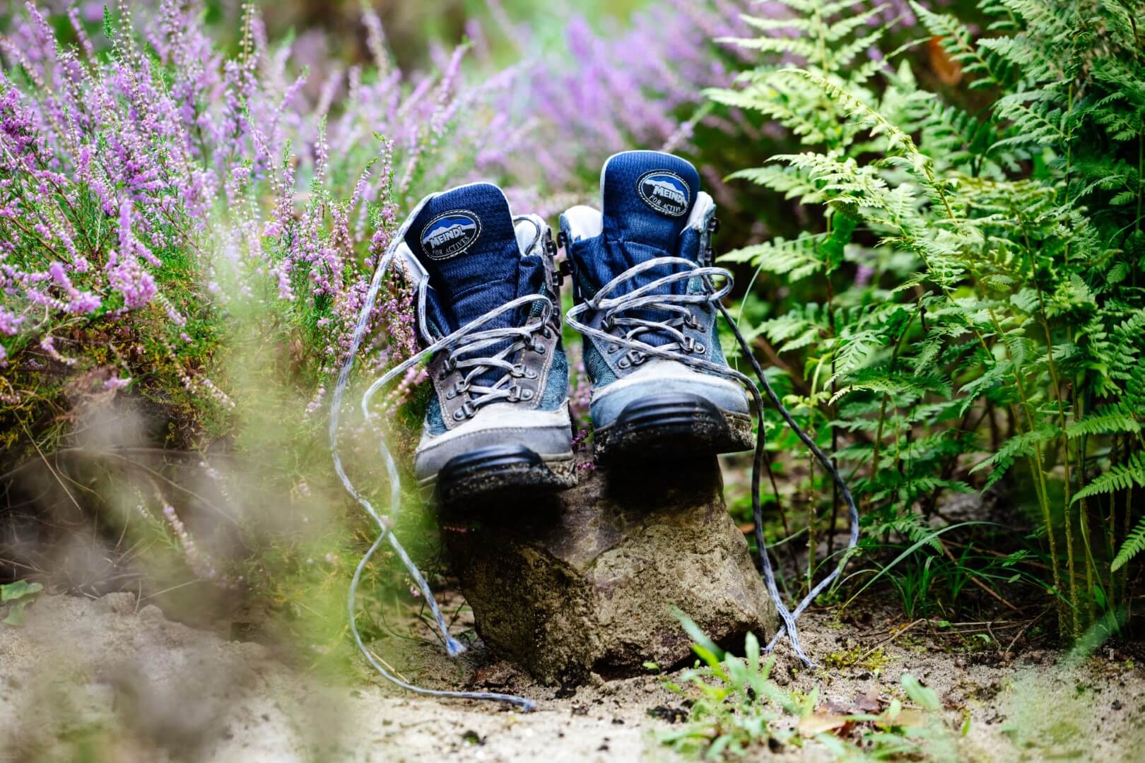 Wandelingen